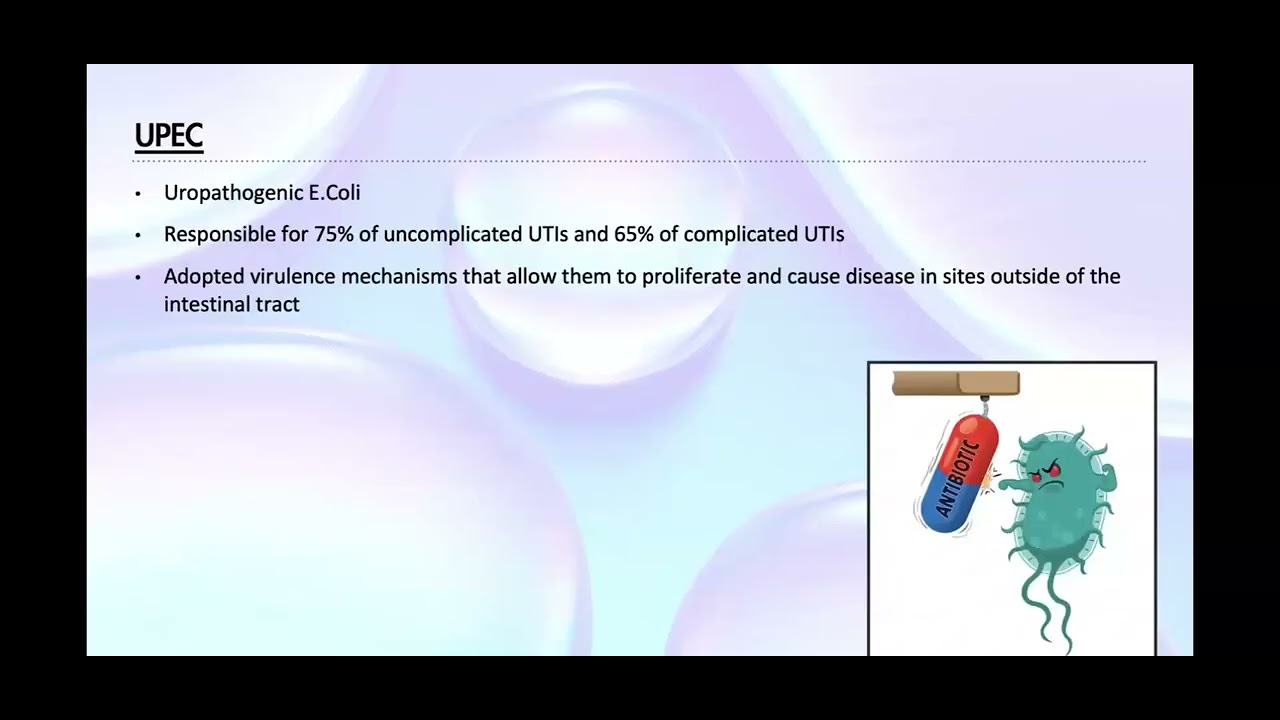 GMT20250815 Recurrent UTI
