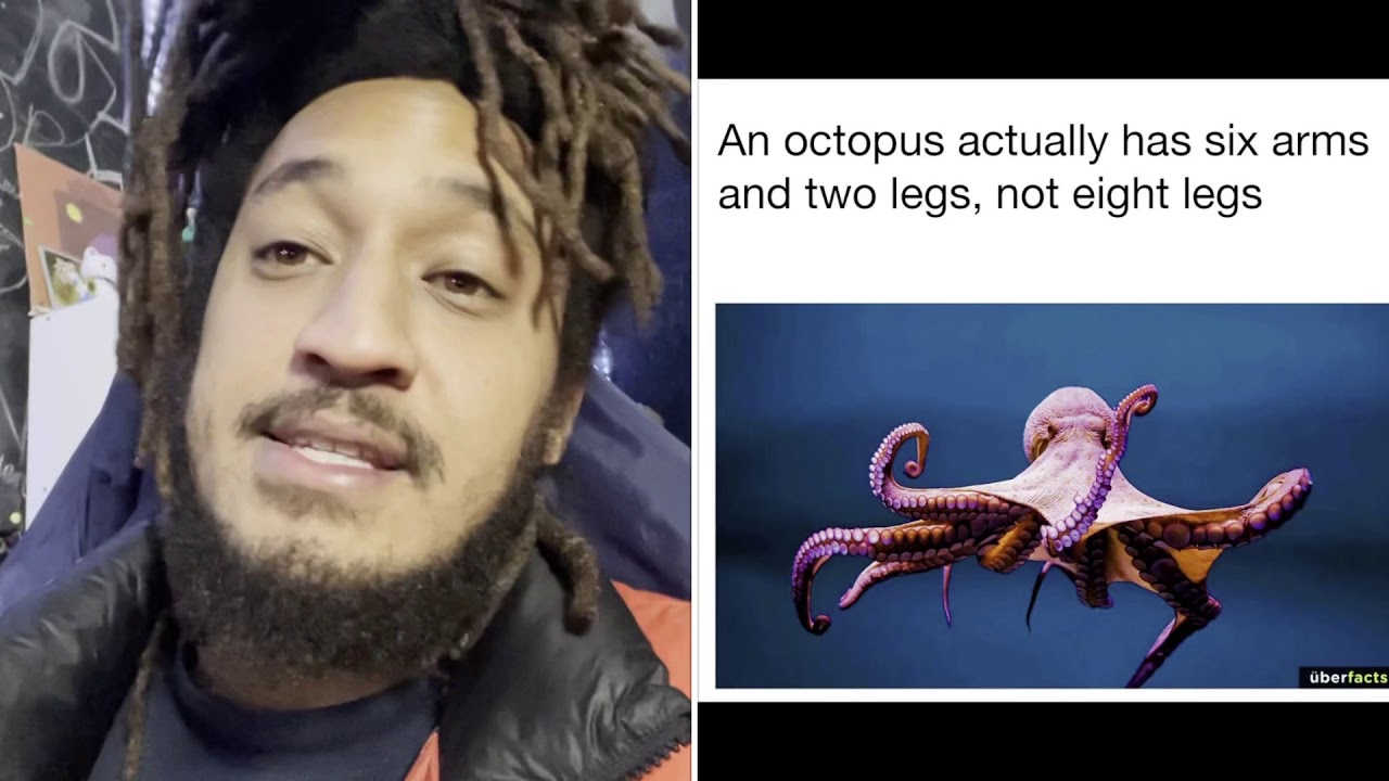 У осьминога НЕТ 8 щупалец?! 😩🧐🐙 #PatGeo