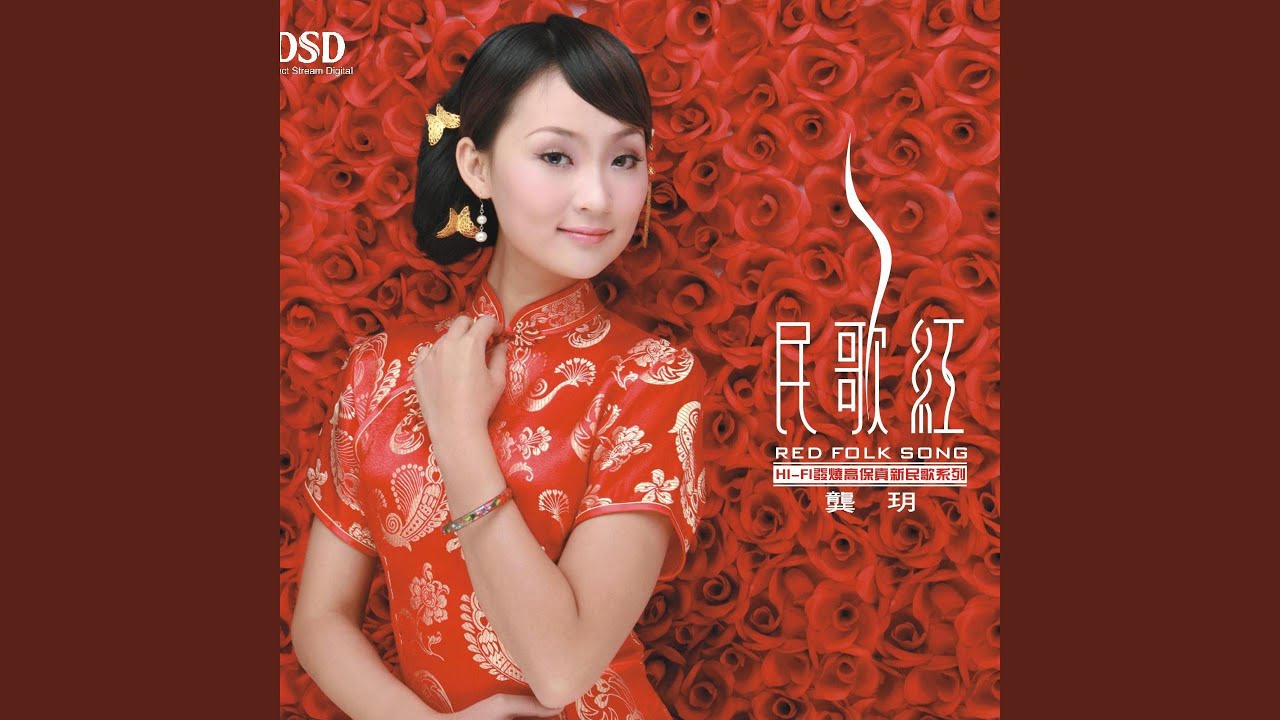 月儿弯弯照九州
