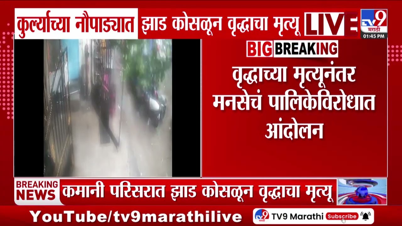 Mumbai | Kurla Tree Collapse | कुर्ल्याच्या नौपाड्यात झाड कोसळून वृद्धाचा मृत्यू