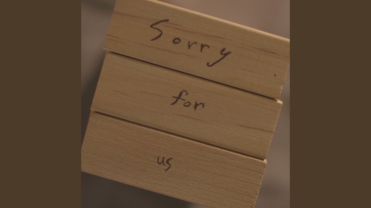Sorry For Us