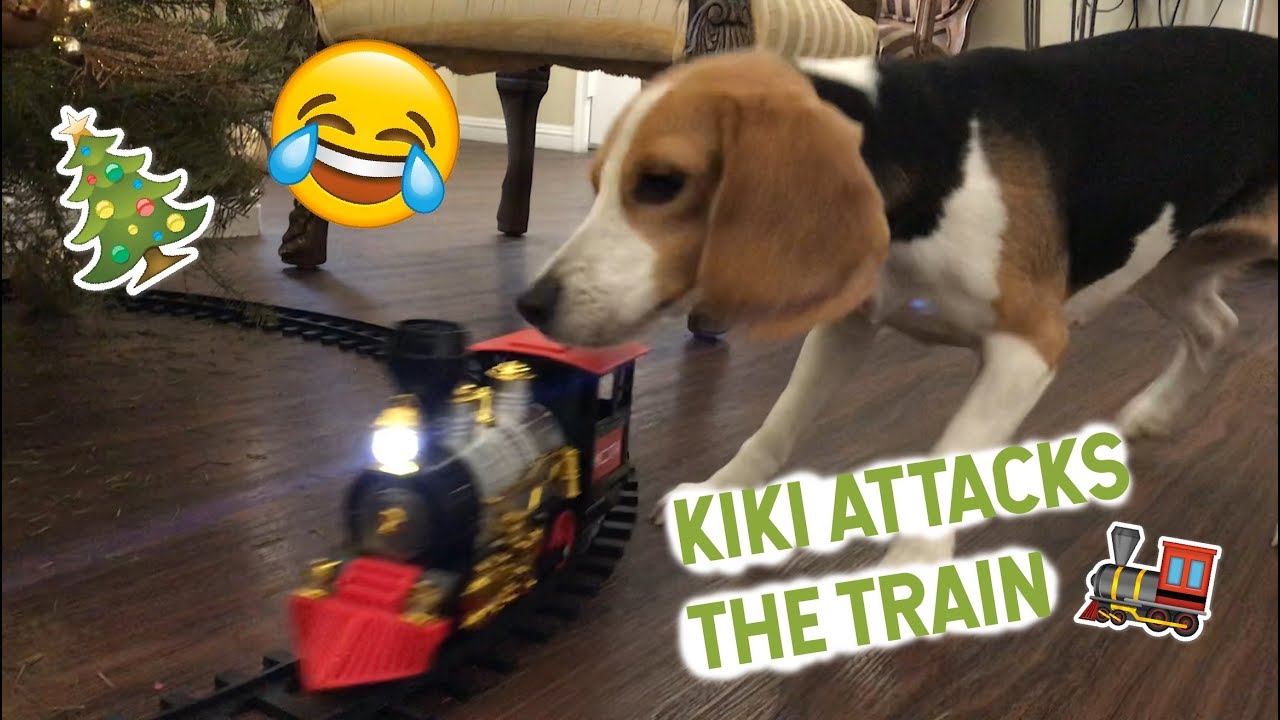 Dog Attacks Christmas Train
