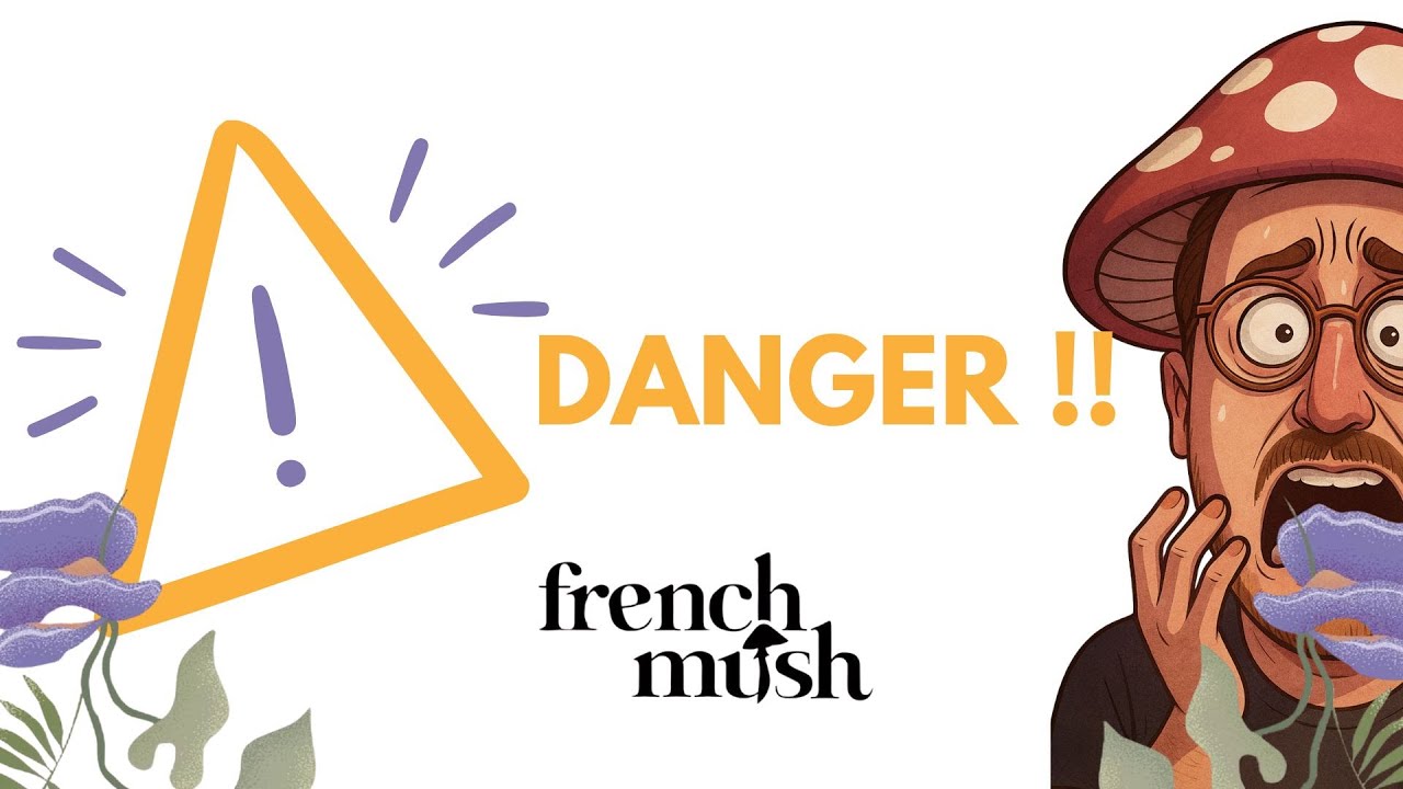 French Mush Danger ? Mon avis sans filtre !