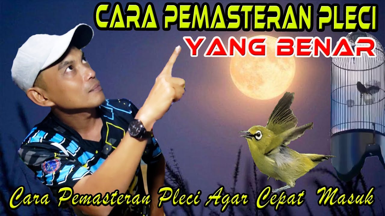 Cara PEMASTERAN PLECI yang benar  agar cepat Masuk dan cepat bongkar isian