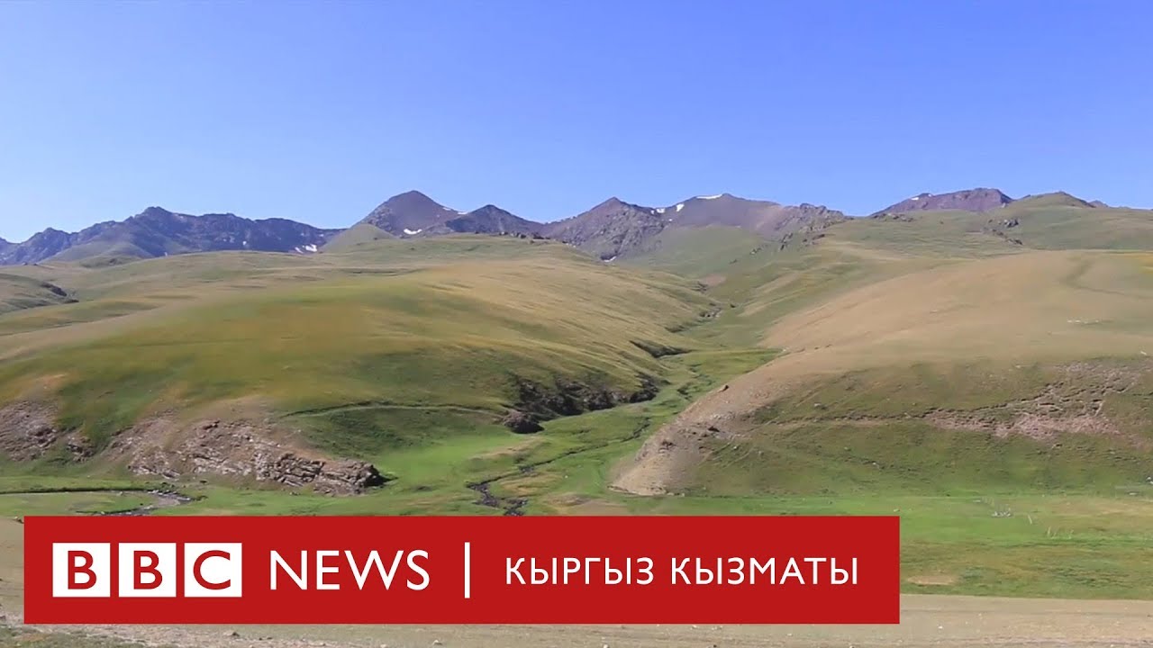 Солтон-Сары кениндеги окуялардын артында эмне турат? - BBC Kyrgyz