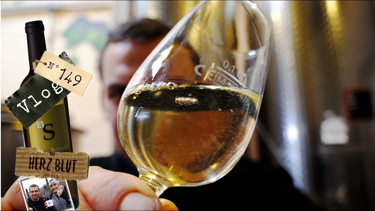 Die Kellerratte am Wein filtrieren | mit Herzblut zum Wein Vlog #149