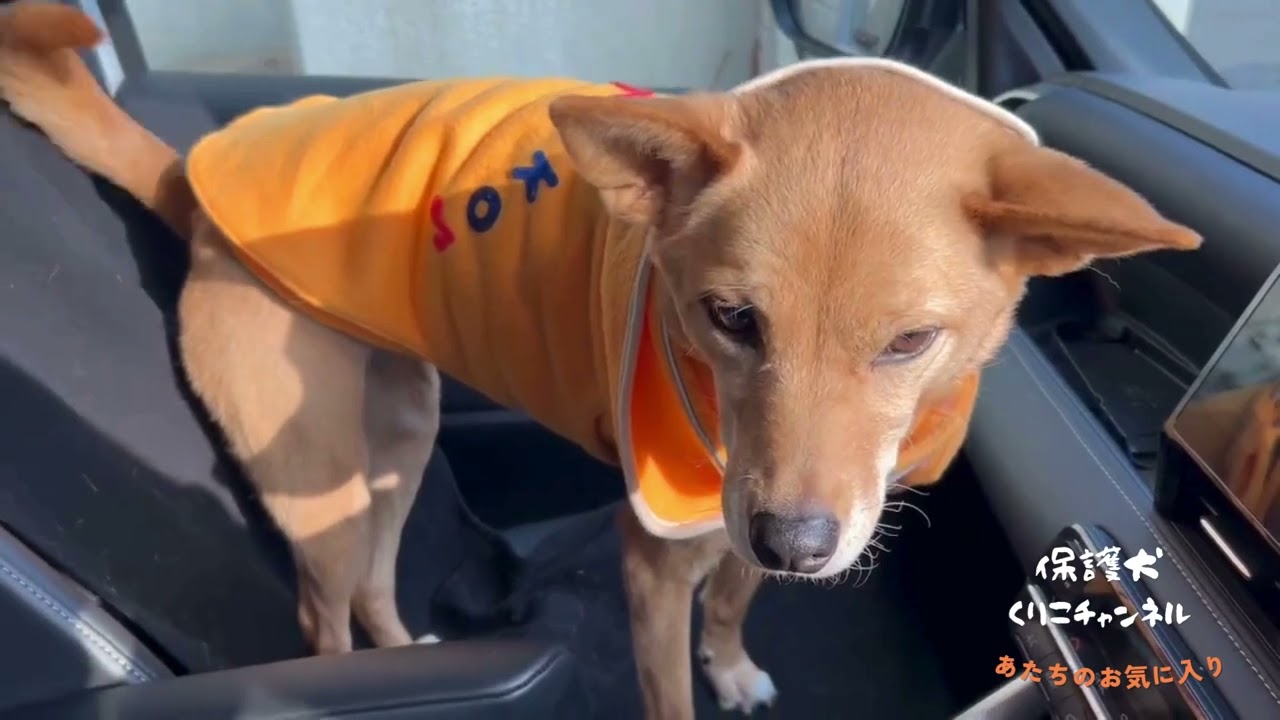 ドライブ出発！　　　Let's go for a drive!