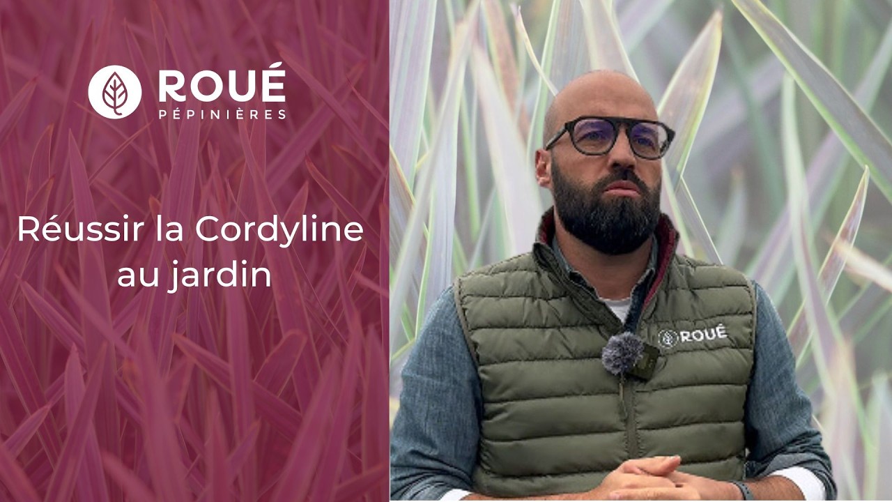 5 ASTUCES pour ENTRETENIR votre CORDYLINE !