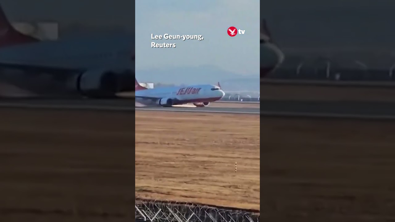 Jeju Air plane skids along runway before crash #news #shorts
