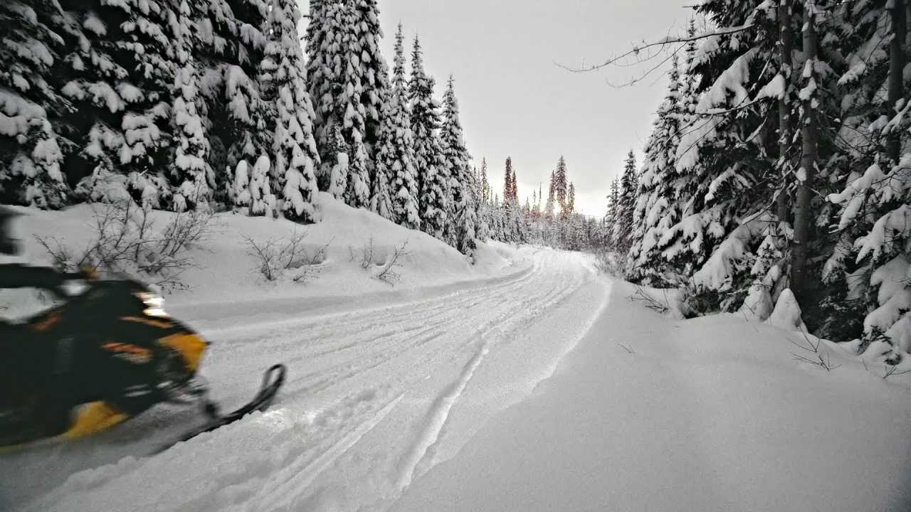 Modèle MX Z 2014 de Ski-Doo