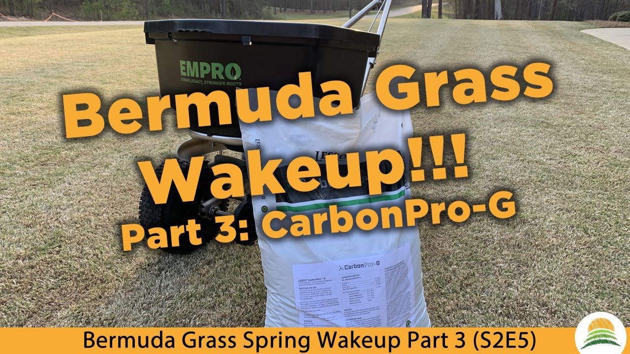 Bermuda Grass Spring Wakeup Part 3: CarbonPro-G ☀️ (S2E5)