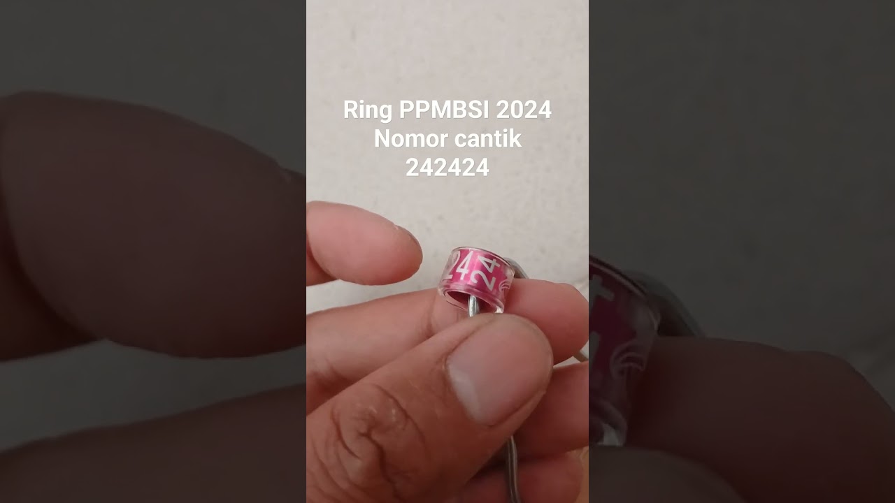 Ring merpati balap PPMBSI 2024 #merpati #merpatibalap #merpatibalapindonesia #ppmbsipusat #ppmbsi