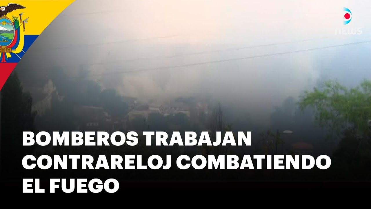 Nuevo incendio forestal en Quito: Es el segundo que se produjo en la ciudad el día de hoy - DNews