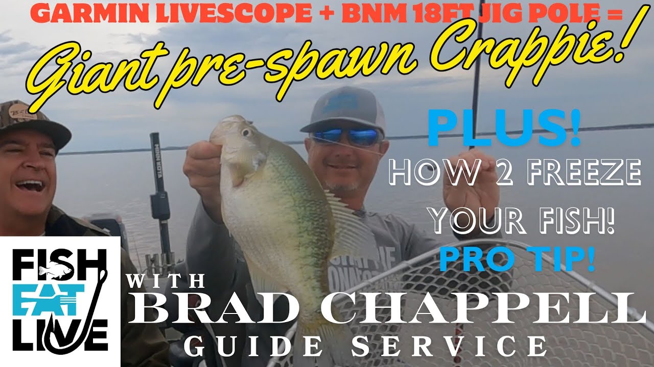 How to Single Pole Jig Pre Spawn Crappie with Pro Guide Brad Chappell Fish Eat Live