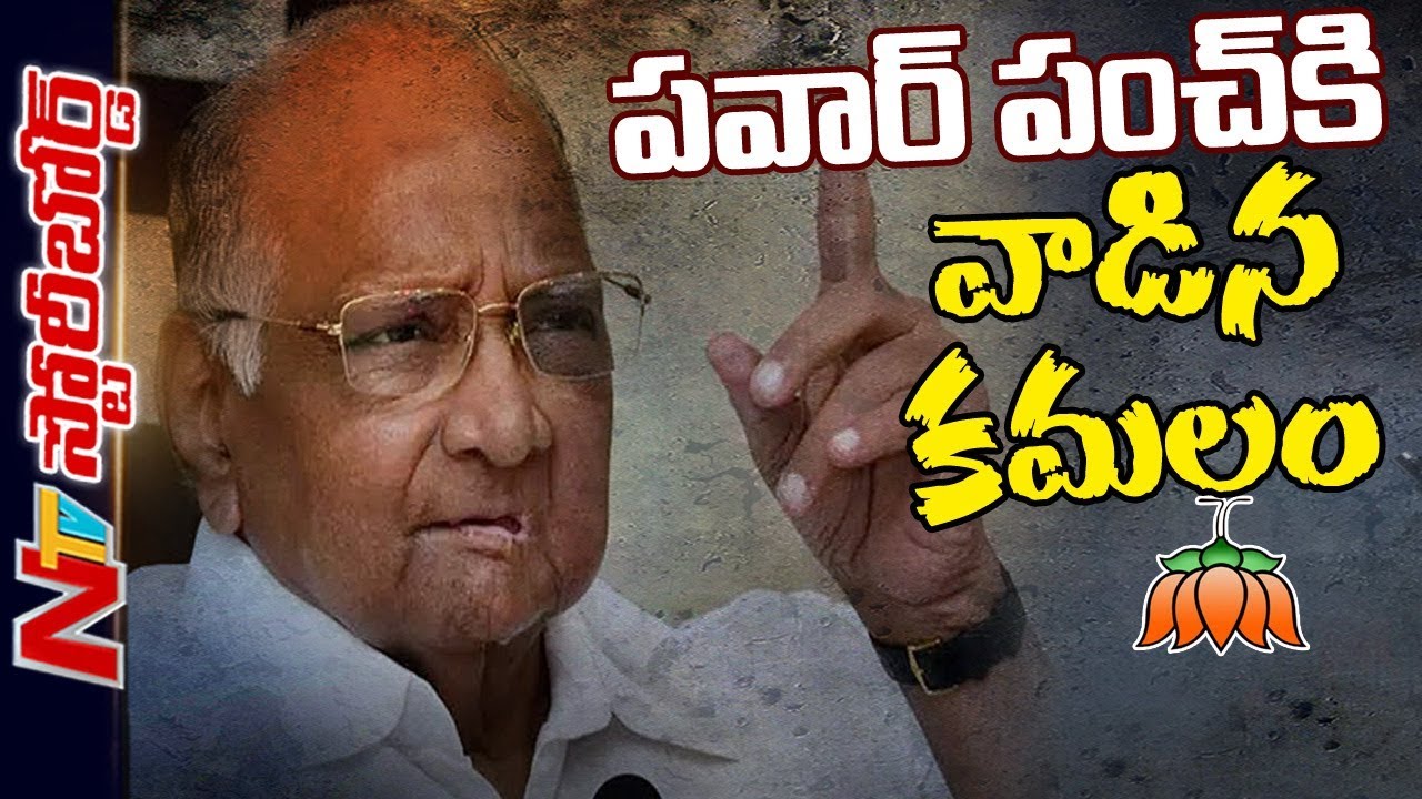 Special Story On Sharad Pawar Game Plan In Maharashtra Politics | Story Board | NTV