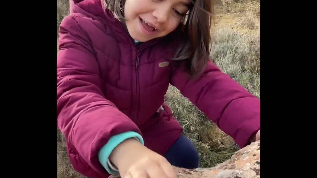 Como se hac&iacute;an las pinturas Rupestres (Arte Rupestre cole de Chloe)