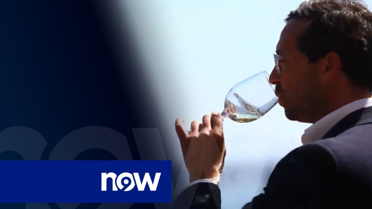 Repórter Sábado: Burla milionária com vinhos de luxo engana centenas de portugueses