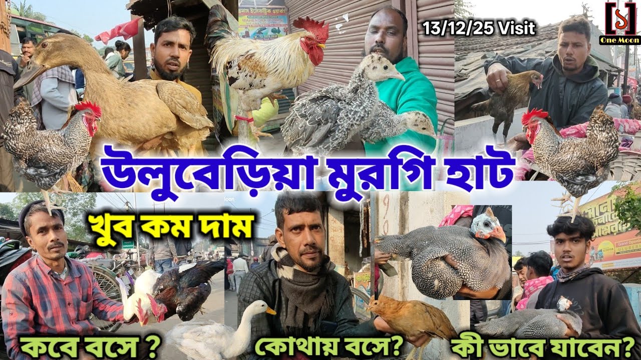 উলুবেড়িয়া মুরগি হাট | Cheapest Pet Market In Kolkata | Uluberia Murgi Market @OneMoon1 