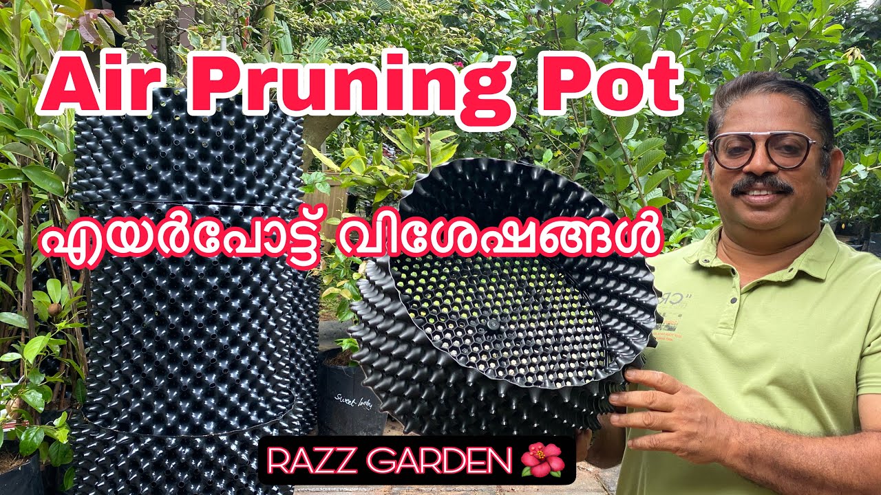 എയർപോട്ട് വിശേഷങ്ങൾ AIR PRUNING POT