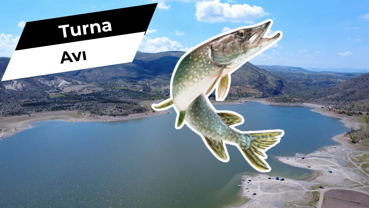 Yeni Yemler Denedik Turna Avı