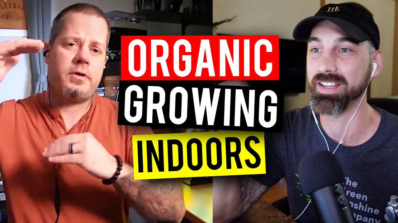 No-Till Organic Gardening! Avocado Tech, Seed Sprouted Teas, Mulch Layers, Cover Crops