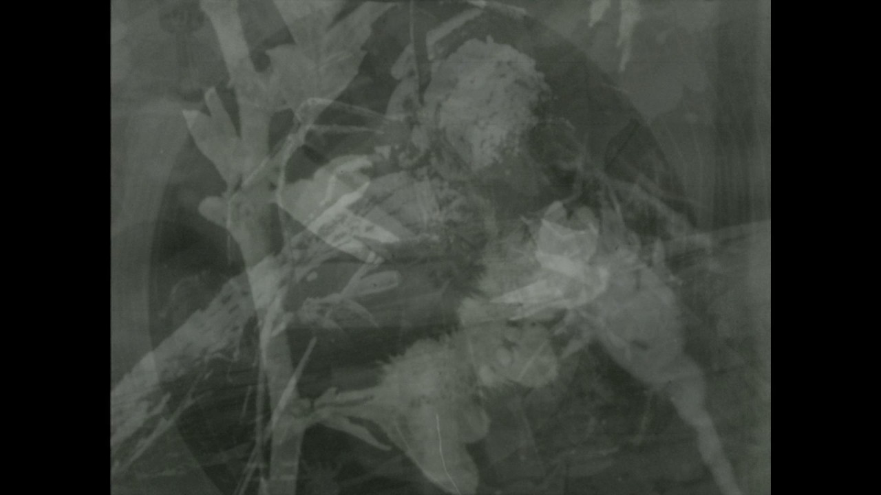 abandoned vehicles (acoustic demos 1997 - 2011)