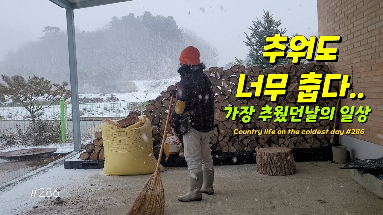ENG | 배추뽑아서 만두만들고 🥟 양배추 수확해서 김치담았어요🥗 토끼가 성질내는거 처음봤어요 🐰#시골일상 vlog 