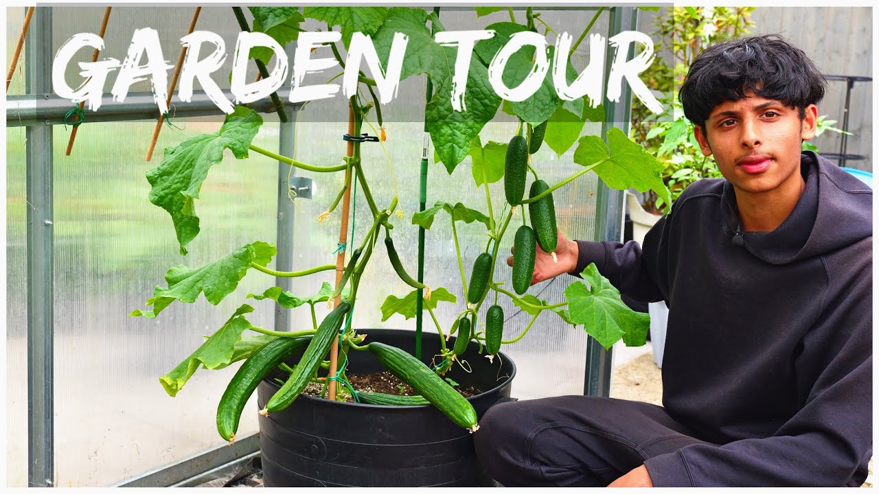 Trellis Ideas For Vegetable Garden | Early Summer Garden Tour And Harvest