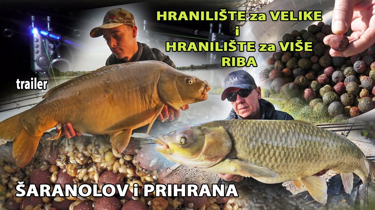 &Scaron;arani, ČIME prihranjivati!? HRANILI&Scaron;TE za VELIKE ili za &scaron;to VI&Scaron;E riba - trailer / VSP Igor Pavičić