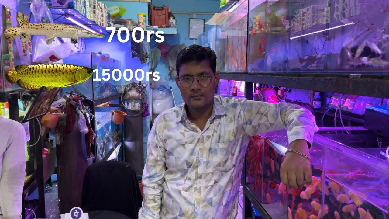 Kurla fish market #parifishaquarium