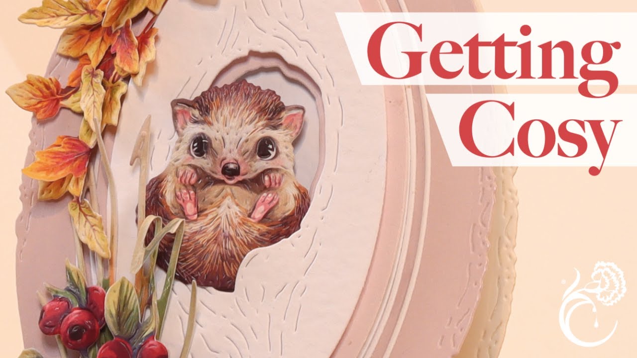 Getting Cosy - Launch Show