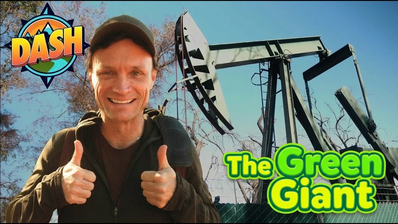💎 TREASURE HUNT 💎 | DASH SOLVES THE MYSTERY OF THE GREEN GIANTS | EDUCATIONAL ADVENTURES FOR KIDS