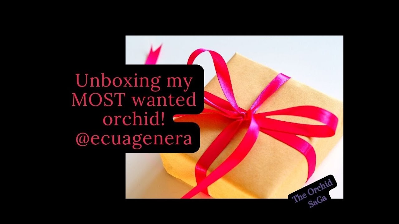 VERY special Unboxing!!!  New orchids from Ecuagenera!