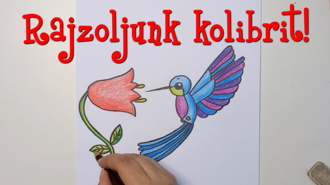 Rajzoljunk kolibrit!
