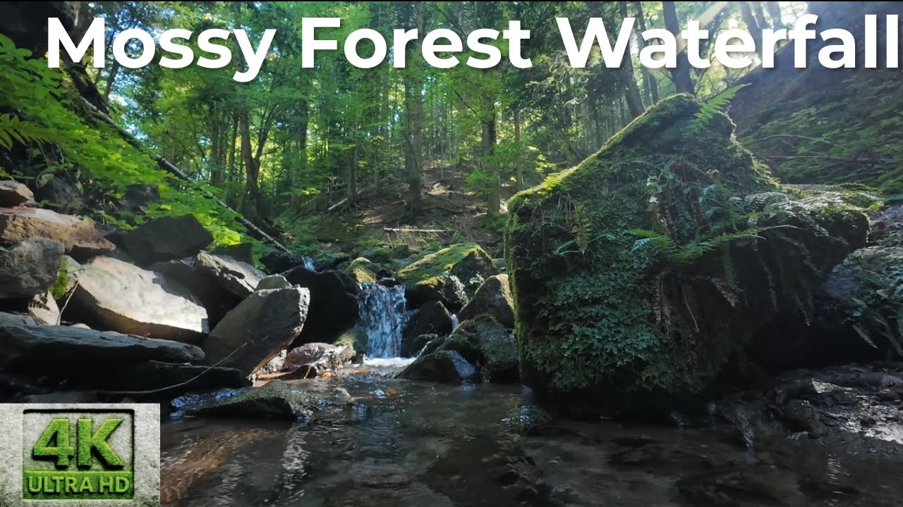 Forest Waterfall Among Mossy Rocks  Calm Stream in Sunlight  4K Nature Relaxation