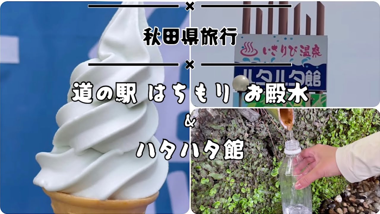 【秋田県旅行】秋田名物を堪能👹道の駅はちもり&ハタハタ館
