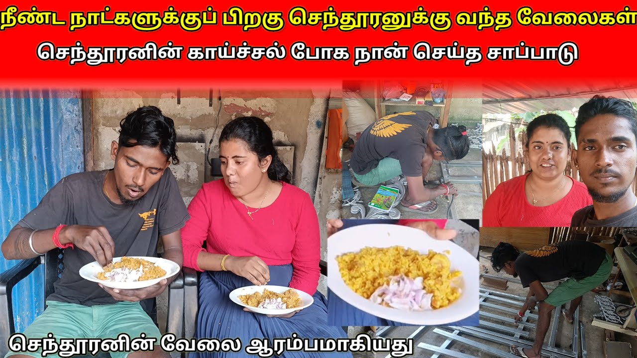 செந்தூரனுக்கு வந்து குவிந்த வேலைகள்/savlog