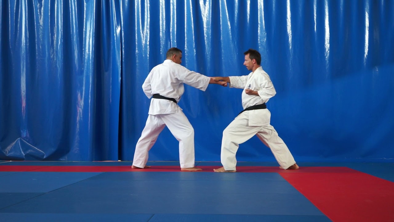 Syllabus kyokushin 3º kyu