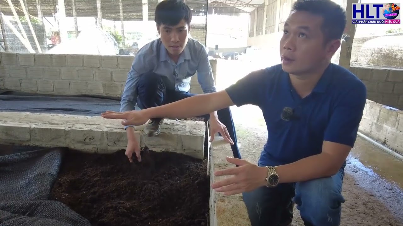 TÌM HIỂU QUY TRÌNH KỸ THUẬT NUÔI GIUN QUẾ CỦA HTX SƠN LA
