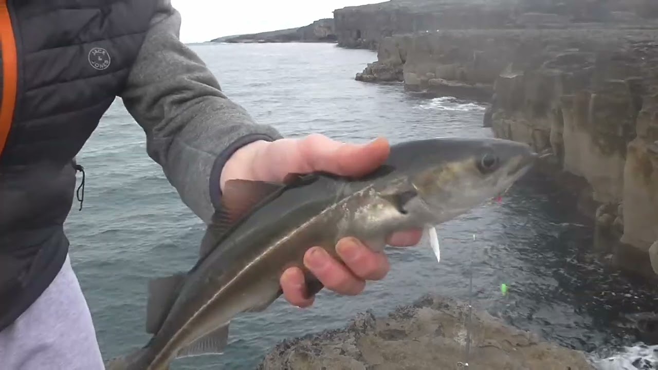 Fisherman's Info 43th Video