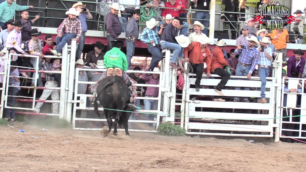 8* TORNEO DE TOROS DE REPARO 2017