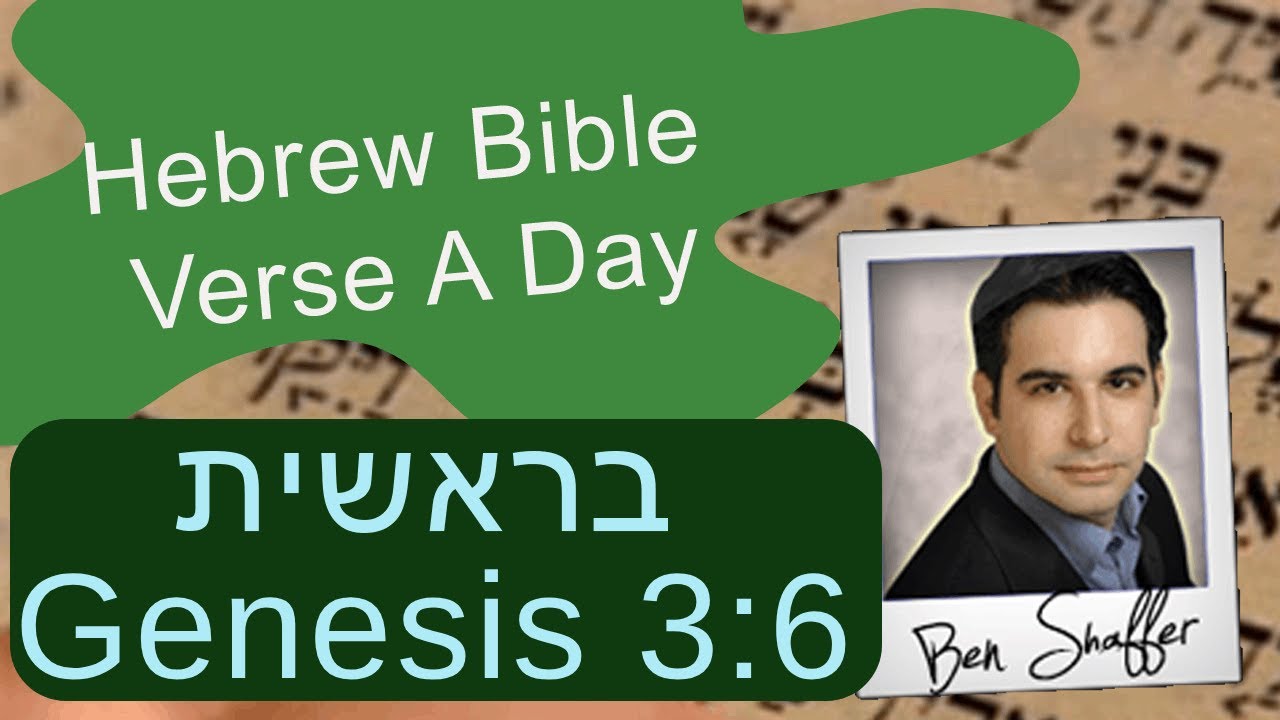 Bereishit Genesis 3:6 - Eve saw that food was good.