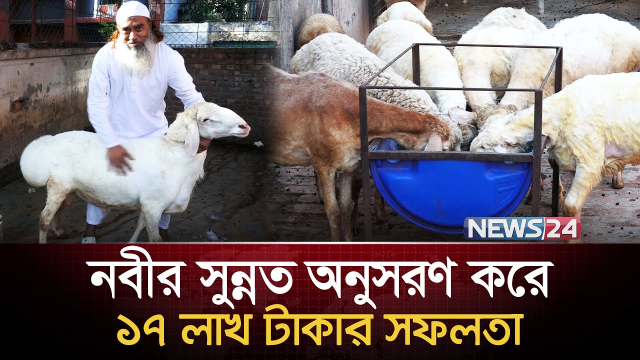 দুটি দুম্বা থেকে দুম্বার খামার গড়লেন দিলু | News24 Special