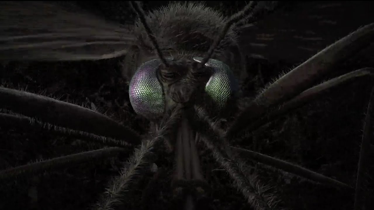 It&rsquo;s Mosquito Week