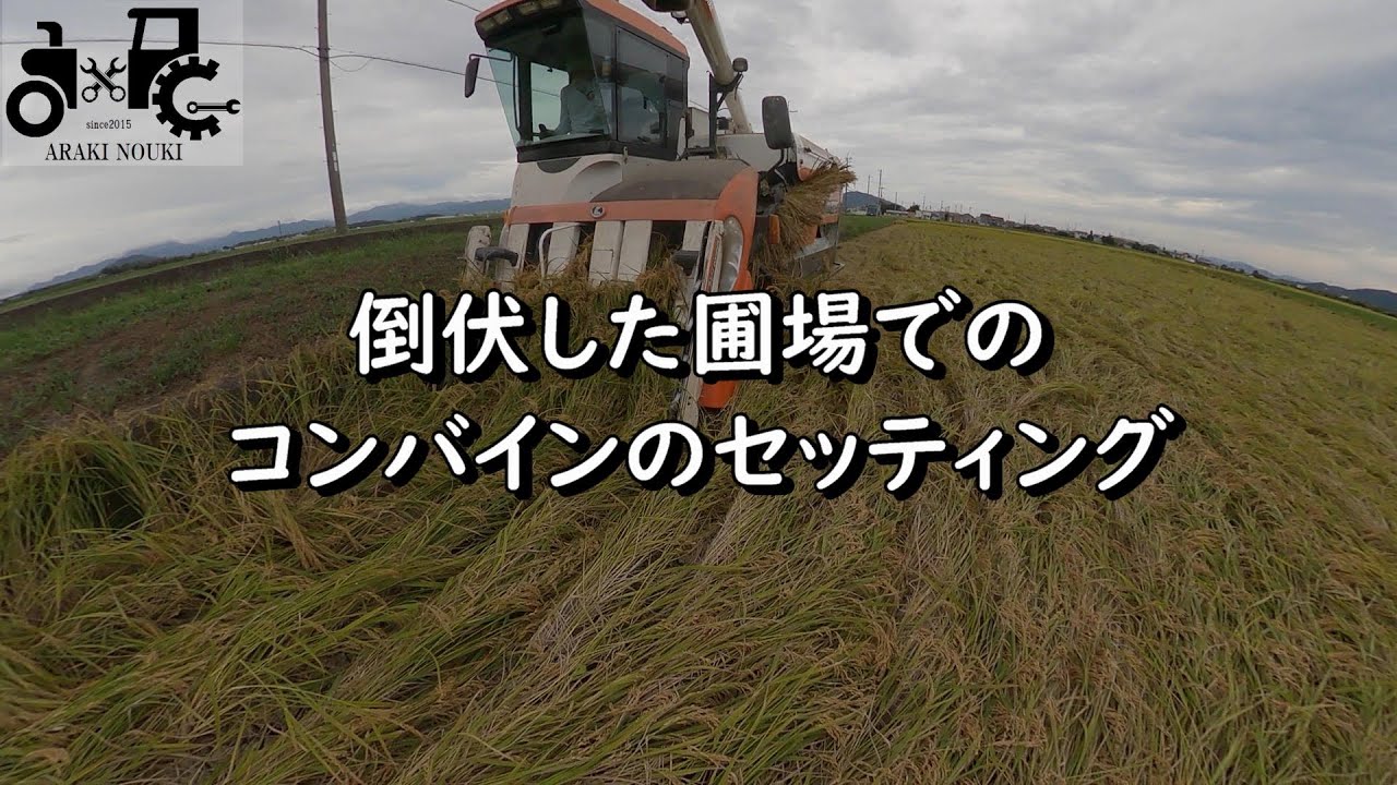 倒伏している圃場の刈り取り　コンバインのセッティング