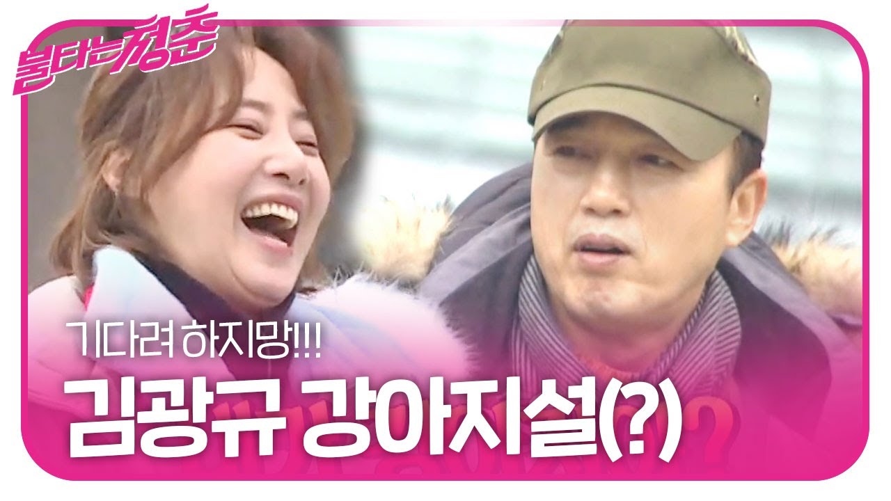 강경헌 vs 김광규, 만나면 불꽃 튀는 티키타카♨ ㅣ불타는 청춘(Young Fire)ㅣSBS ENTER.