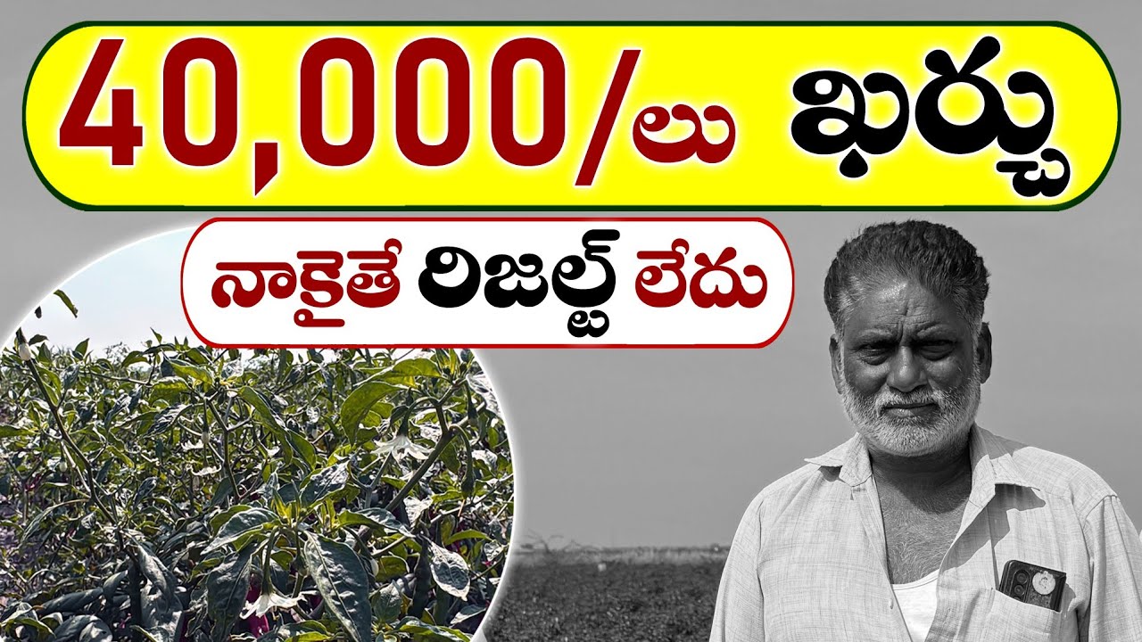 40,000లు ఖర్చు నాకైతే రిజల్ట్ లేదు... || Ponnu's​​ || Ponnus rythu seva kendram