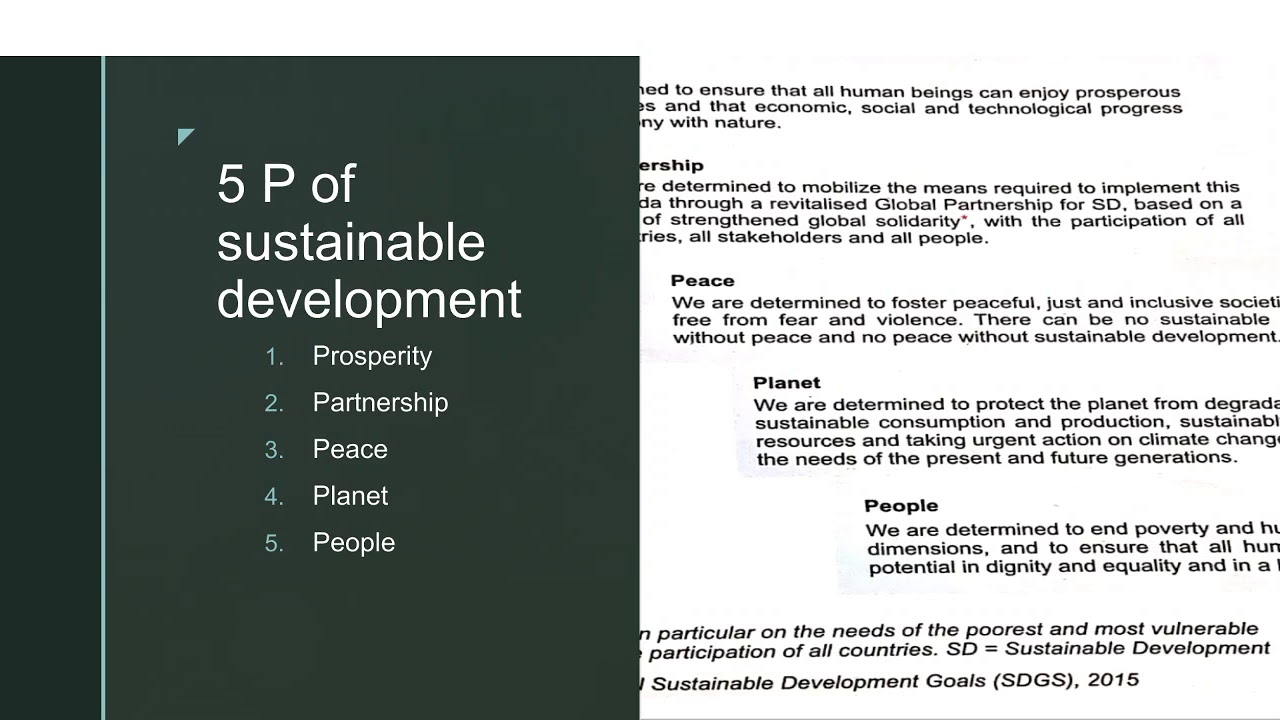 5 P of sustainable development
