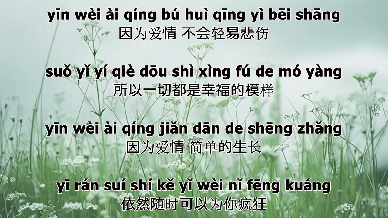 yin wei ai qing - 因为爱情 Lyrics song