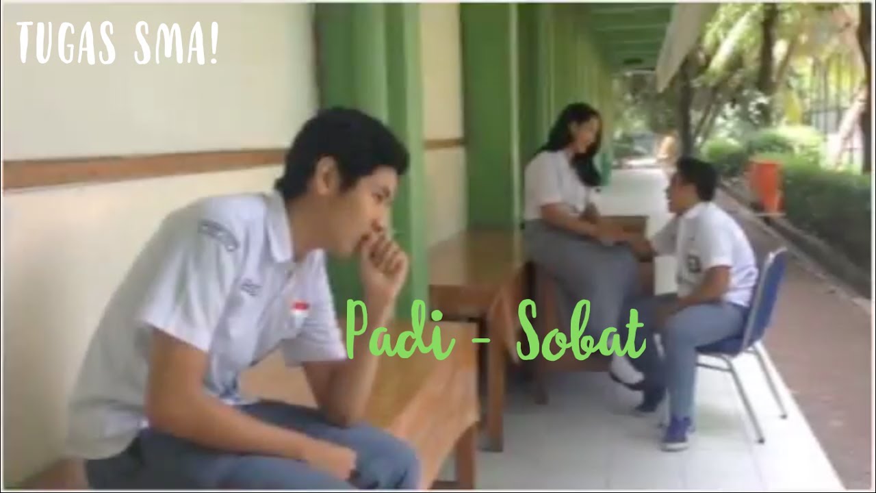 Padi - Sobat